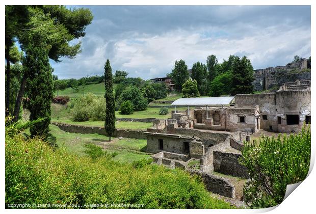 Pompeii ruins and countryside Italy Print by Diana Mower