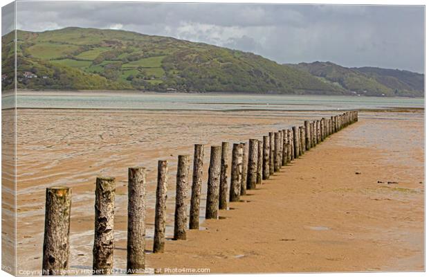 Breakwater posts on Ynyslas sands with Aberdovey in the distance Canvas Print by Jenny Hibbert
