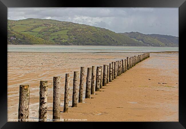 Breakwater posts on Ynyslas sands with Aberdovey in the distance Framed Print by Jenny Hibbert