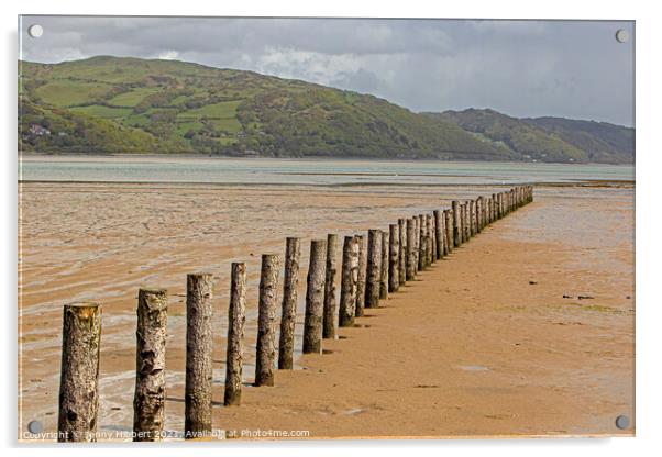 Breakwater posts on Ynyslas sands with Aberdovey in the distance Acrylic by Jenny Hibbert