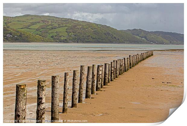 Breakwater posts on Ynyslas sands with Aberdovey in the distance Print by Jenny Hibbert