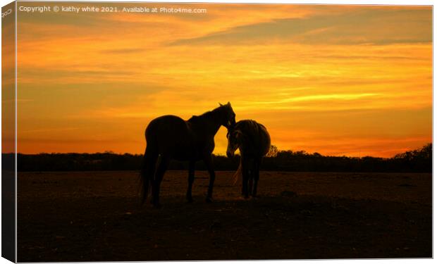 Two beautiful horses together at sunset,Silhouette Canvas Print by kathy white