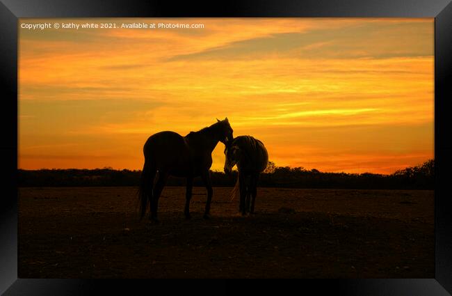 Two beautiful horses together at sunset,Silhouette Framed Print by kathy white