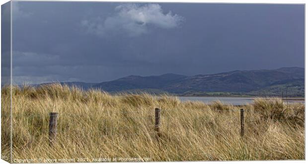 Ynyslas sand dunes with Marram grass at Dyfi National Nature Reserve Canvas Print by Jenny Hibbert