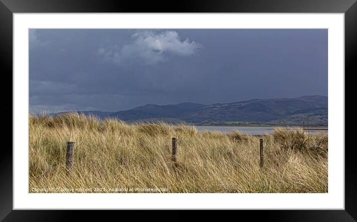 Ynyslas sand dunes with Marram grass at Dyfi National Nature Reserve Framed Mounted Print by Jenny Hibbert
