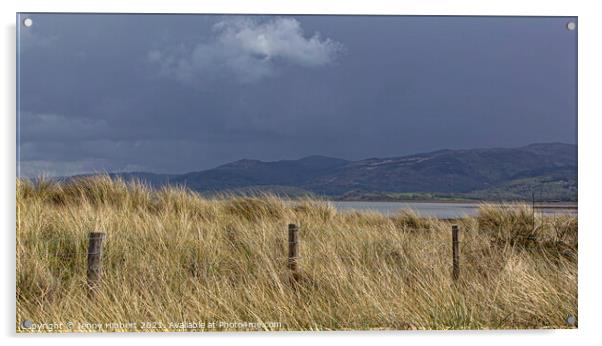 Ynyslas sand dunes with Marram grass at Dyfi National Nature Reserve Acrylic by Jenny Hibbert