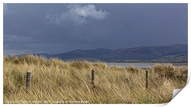 Ynyslas sand dunes with Marram grass at Dyfi National Nature Reserve Print by Jenny Hibbert