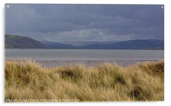 Marram grass sand dune looking across the river Dyfi towards the Cambrian mountains Acrylic by Jenny Hibbert