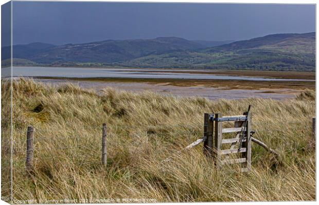 Ynyslas sand dunes covered with Marram grass, looking across the river Dyfi Canvas Print by Jenny Hibbert