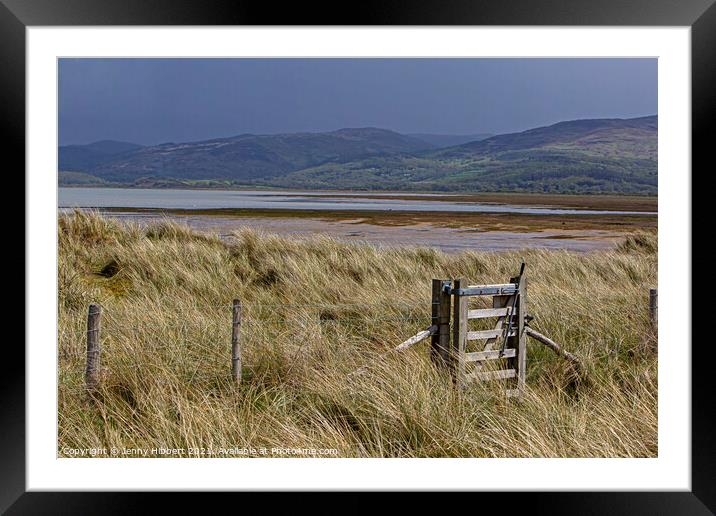 Ynyslas sand dunes covered with Marram grass, looking across the river Dyfi Framed Mounted Print by Jenny Hibbert