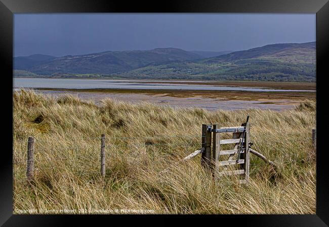 Ynyslas sand dunes covered with Marram grass, looking across the river Dyfi Framed Print by Jenny Hibbert