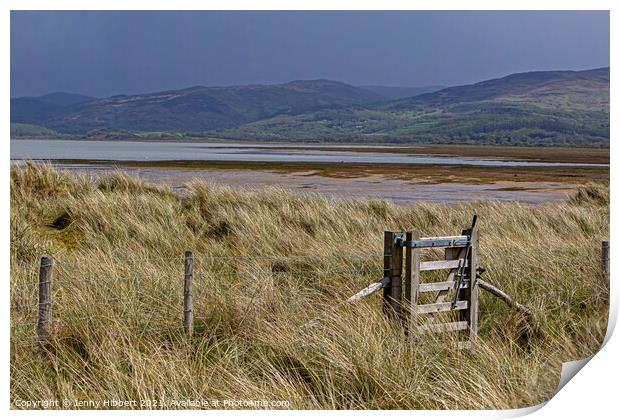 Ynyslas sand dunes covered with Marram grass, looking across the river Dyfi Print by Jenny Hibbert