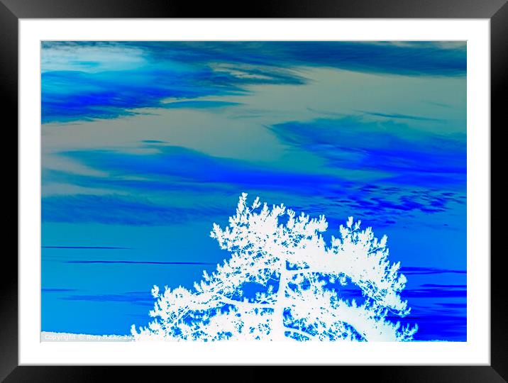 Blue sky white tree Framed Mounted Print by Rory Hailes