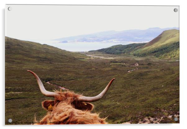 Highland Cow overlooking hills on the isle of Skye Acrylic by Anna Hamill