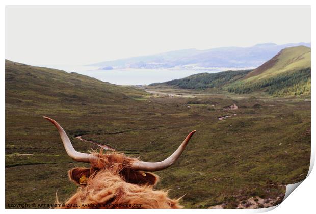Highland Cow overlooking hills on the isle of Skye Print by Anna Hamill