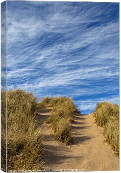 Ynyslas dunes Dyfi Nature Reserve Canvas Print by Jenny Hibbert