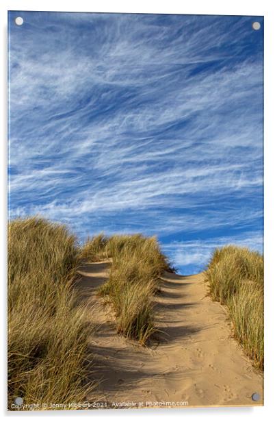 Ynyslas dunes Dyfi Nature Reserve Acrylic by Jenny Hibbert