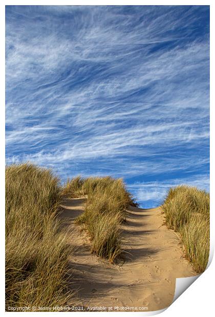 Ynyslas dunes Dyfi Nature Reserve Print by Jenny Hibbert