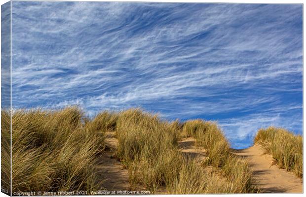 Ynyslas sand dunes Dyfi National Nature reserve Canvas Print by Jenny Hibbert