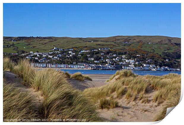 Ynyslas sand dunes covered with Marram grass, looking across the river Dyfi Print by Jenny Hibbert