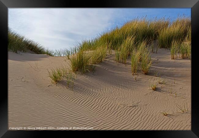 Marram grass on Ynyslas sand dunes Framed Print by Jenny Hibbert