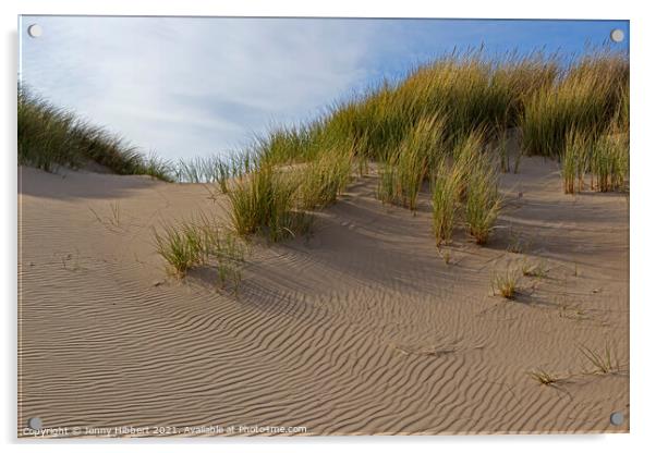 Marram grass on Ynyslas sand dunes Acrylic by Jenny Hibbert