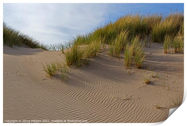 Marram grass on Ynyslas sand dunes Print by Jenny Hibbert