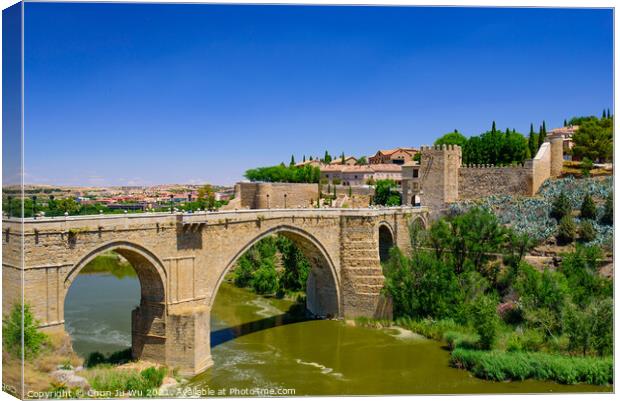 St Martin's Bridge, a medieval bridge across the river Tagus in Toledo, Spain Canvas Print by Chun Ju Wu