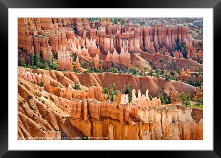 Bryce canyon national park, Utah. Sunrise point Framed Mounted Print by Delphimages Art
