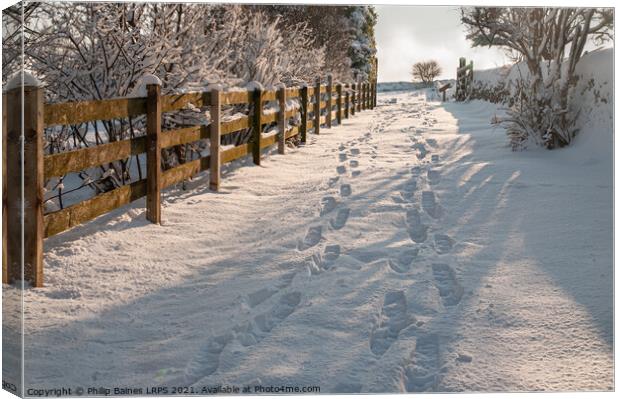 Footsteps in the Snow Canvas Print by Philip Baines