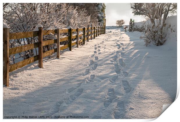 Footsteps in the Snow Print by Philip Baines