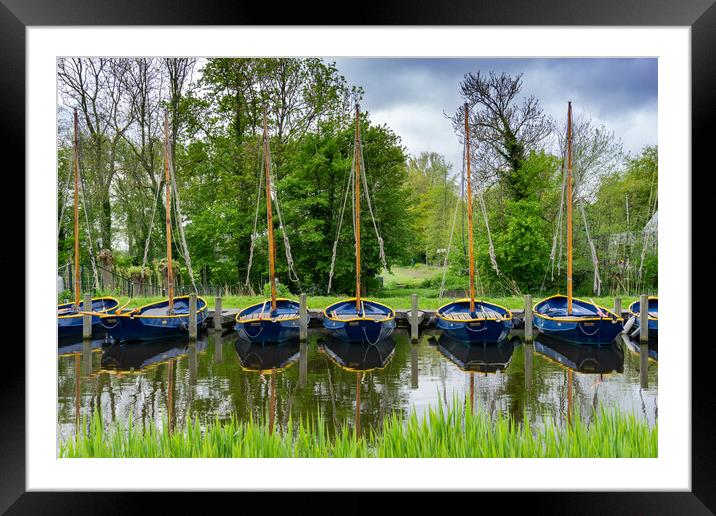 The Lemsteeraks Framed Mounted Print by DiFigiano Photography