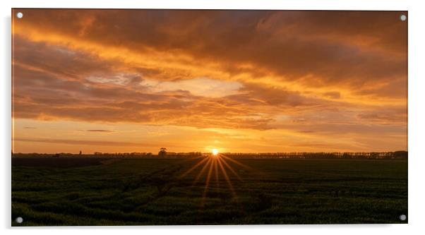 Zeeland Sunset Acrylic by DiFigiano Photography