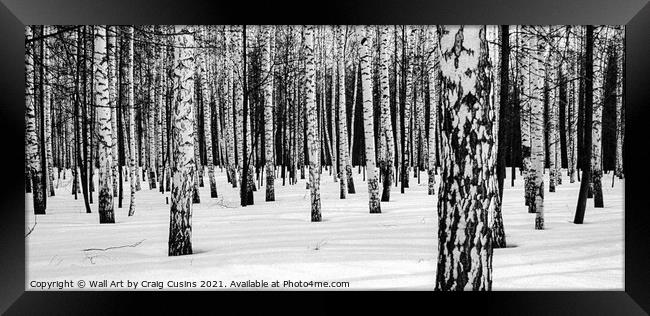 Russian Winter Birch Forest Framed Print by Wall Art by Craig Cusins