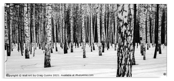 Russian Winter Birch Forest Acrylic by Wall Art by Craig Cusins