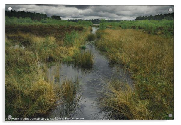 Between storms at Blakemere Moss Acrylic by Alan Dunnett