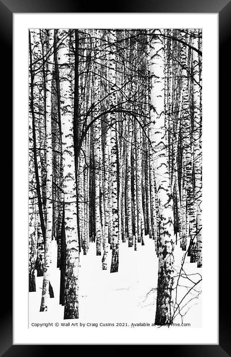 Winter Forest Framed Mounted Print by Wall Art by Craig Cusins