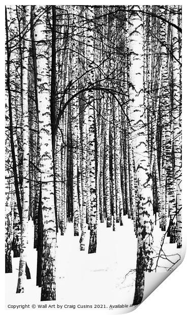 Winter Forest Print by Wall Art by Craig Cusins