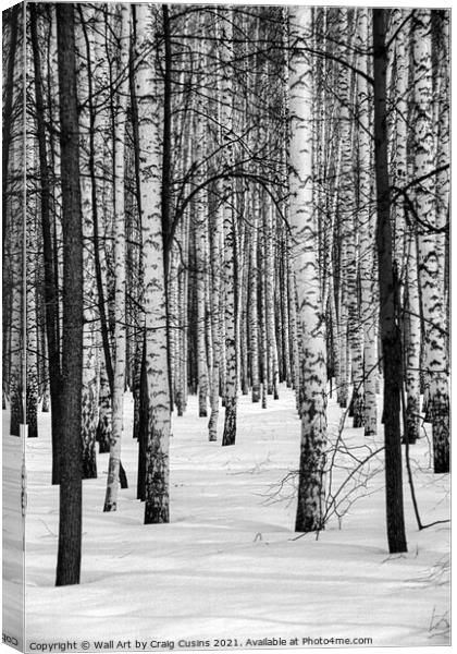 Russian Winter Forest Canvas Print by Wall Art by Craig Cusins