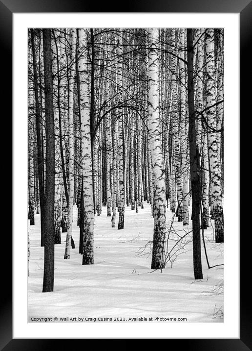 Russian Winter Forest Framed Mounted Print by Wall Art by Craig Cusins