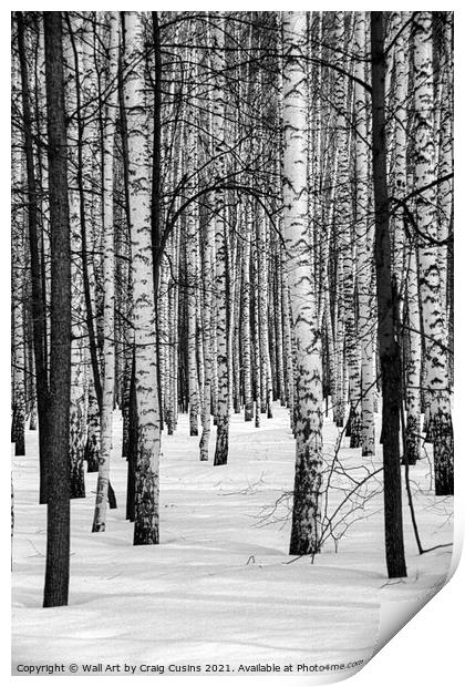 Russian Winter Forest Print by Wall Art by Craig Cusins
