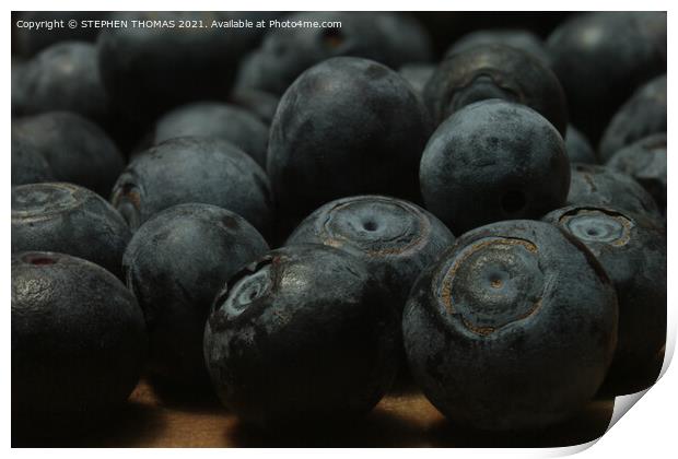 A Bunch of Blueberries Print by STEPHEN THOMAS