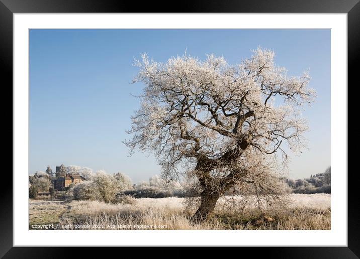 Tree covered in frost Framed Mounted Print by Keith Bowser