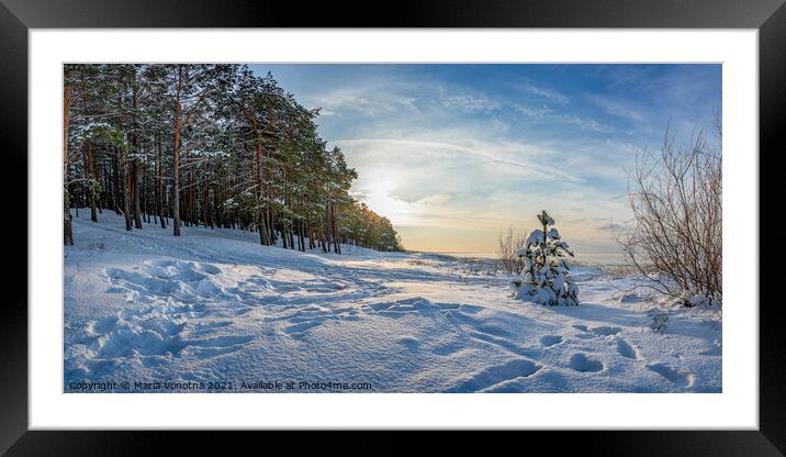 Covered in snow fir tree Framed Mounted Print by Maria Vonotna