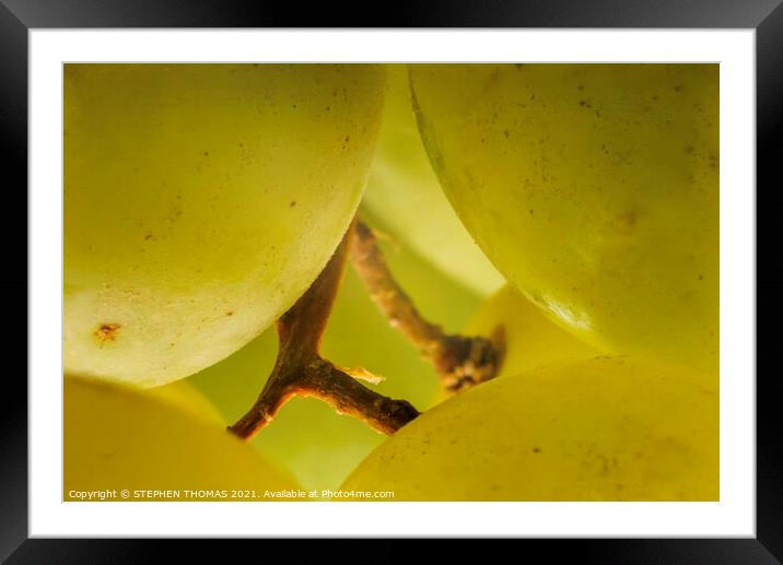 Inside The Grapes Framed Mounted Print by STEPHEN THOMAS