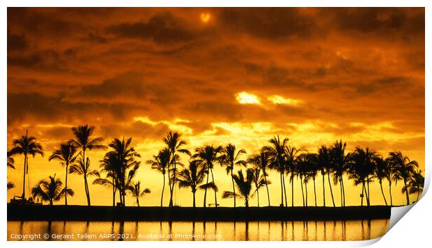 Palm trees at sunset, Kailua-Kona, The Big Island, Hawaii, USA Print by Geraint Tellem ARPS