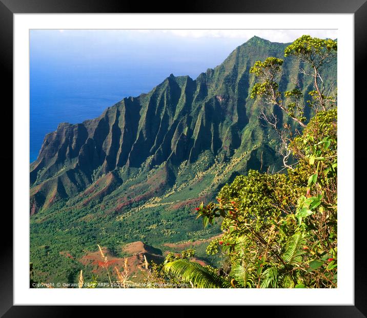 Cliffs at Na Pali coast, Kauai, Hawaii, USA Framed Mounted Print by Geraint Tellem ARPS