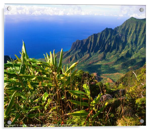 Cliffs at Na Pali coast, Kauai, Hawaii, USA Acrylic by Geraint Tellem ARPS