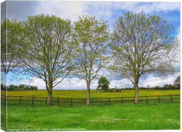 Majestic Wiltshire Landscape Canvas Print by Nicola Clark