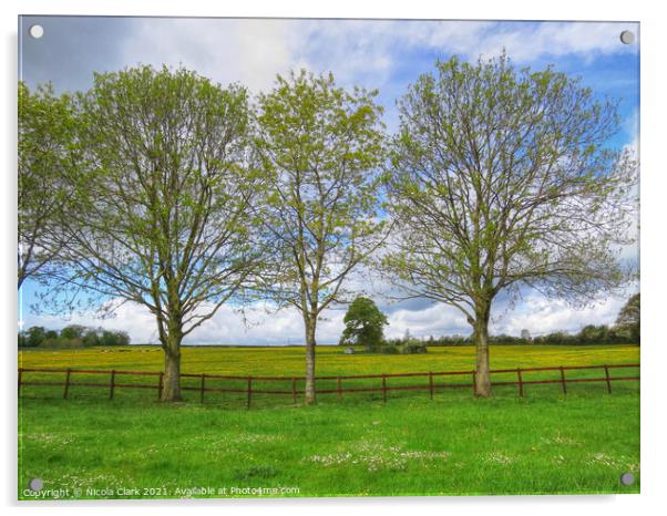 Majestic Wiltshire Landscape Acrylic by Nicola Clark